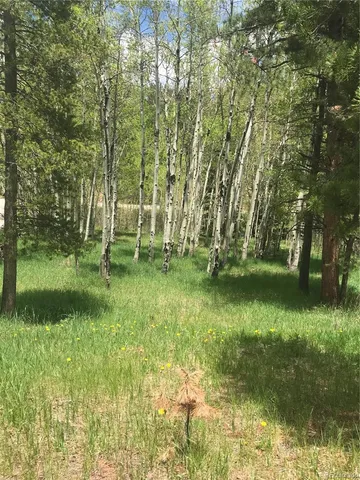 $165,000 | 0 Shadow Mountain Drive, Conifer, CO 80433