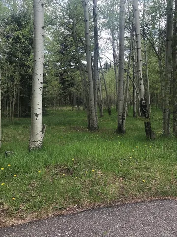 $165,000 | 0 Shadow Mountain Drive, Conifer, CO 80433