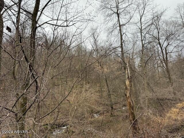 Laver Road Muncy, PA 17756 - Photo 2 of 4 Gallery Image 2