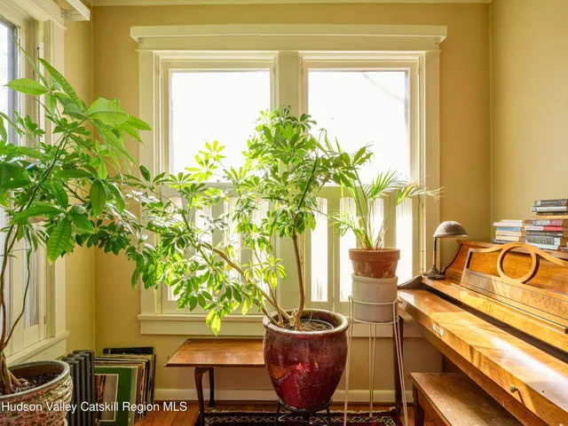 a view of a hallway with wooden floor and a potted plant