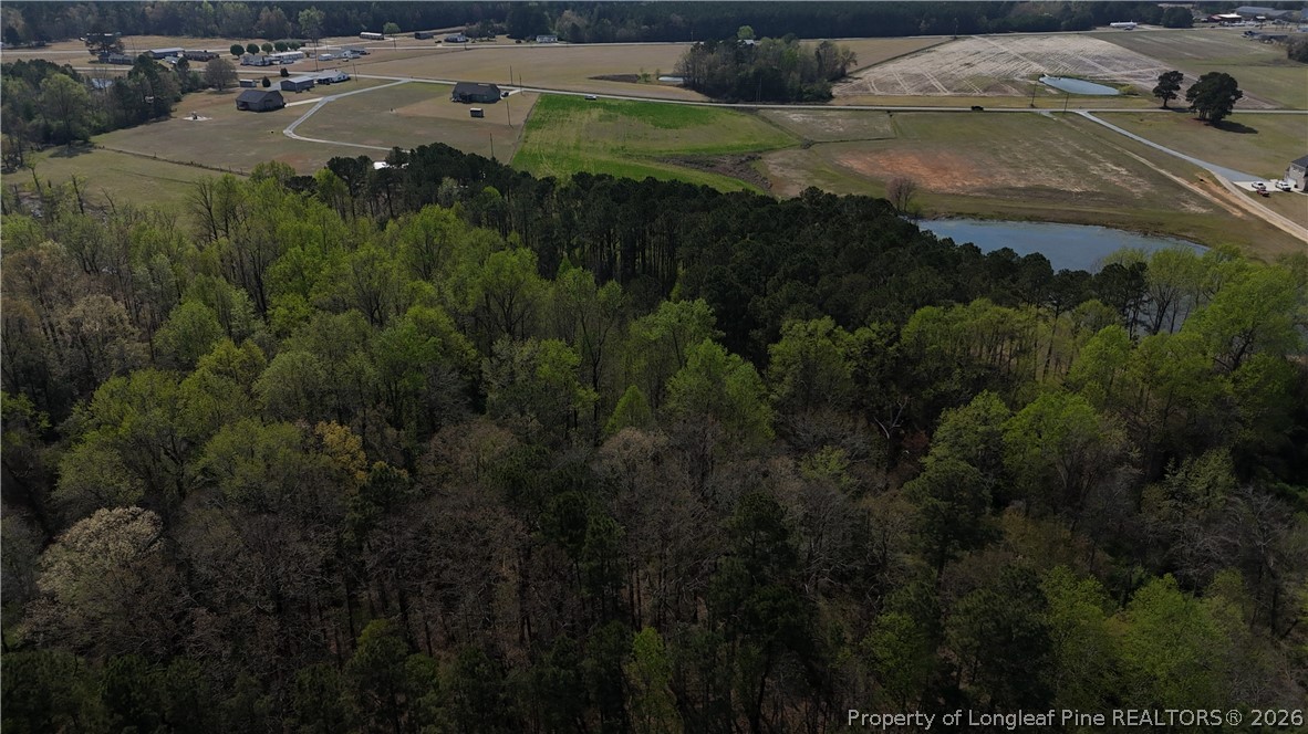 Hannah Creek Road Benson, NC 27504 - Photo 2 of 5 a view of outdoor space and yard