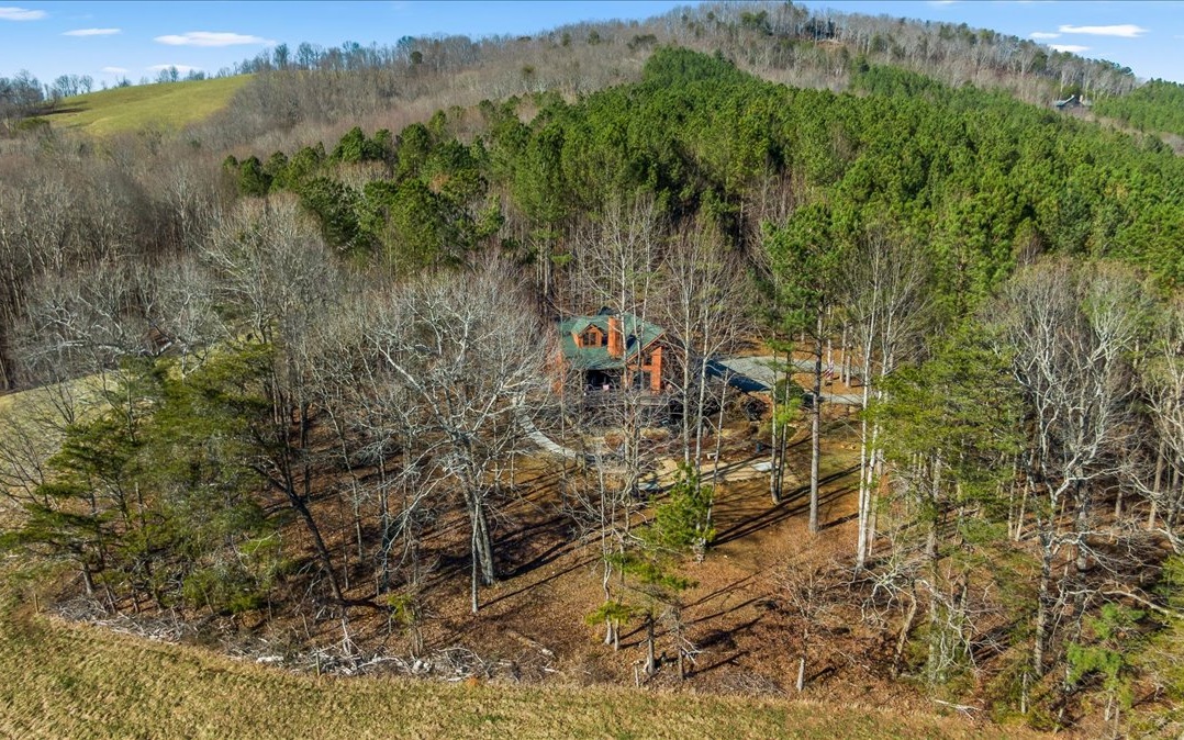492 Black Bear Ridge Road Ellijay, GA 30536 - Photo 61 of 67 Additional View