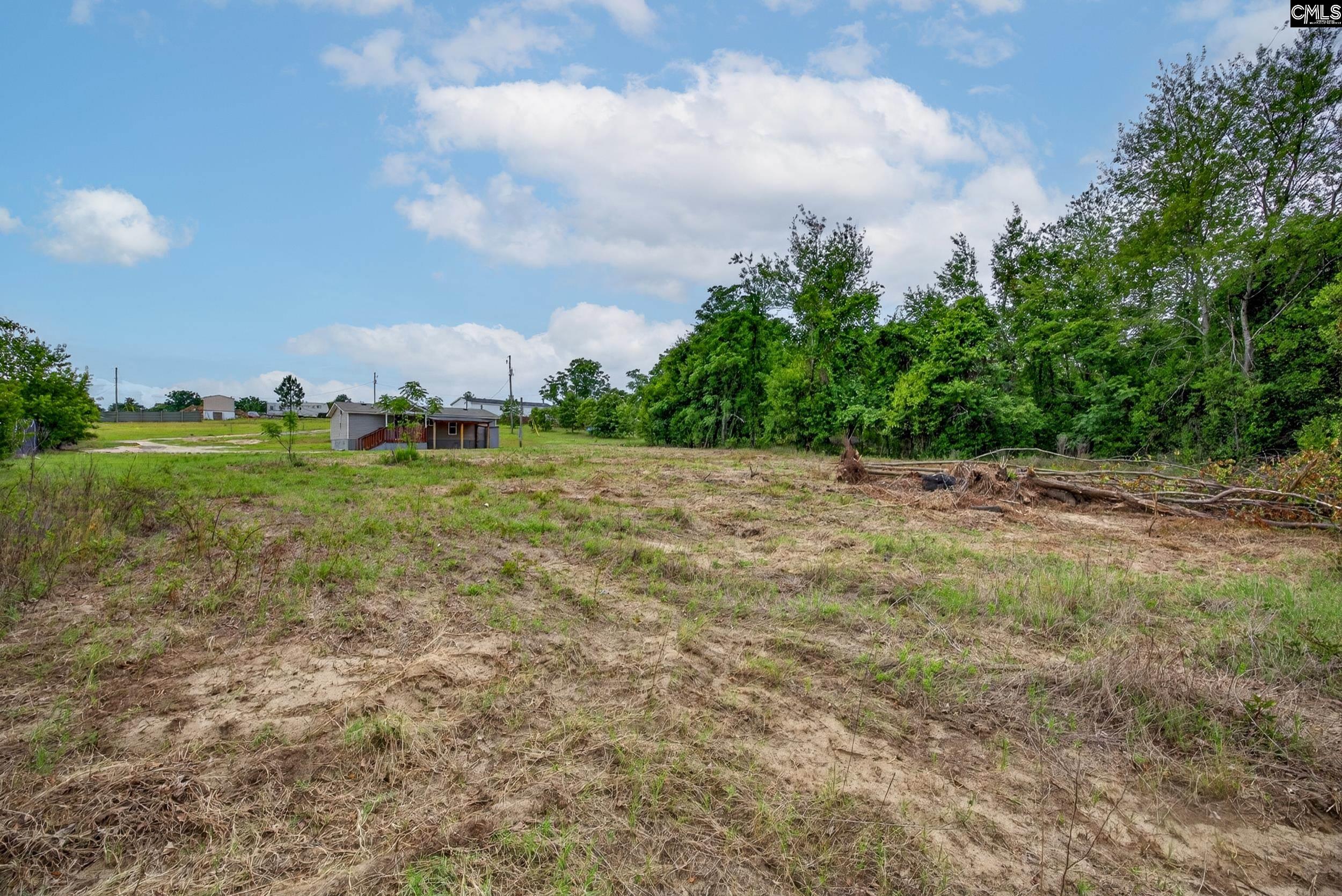 225 State Pond Road Gaston, SC 29053 - Photo 23 of 23