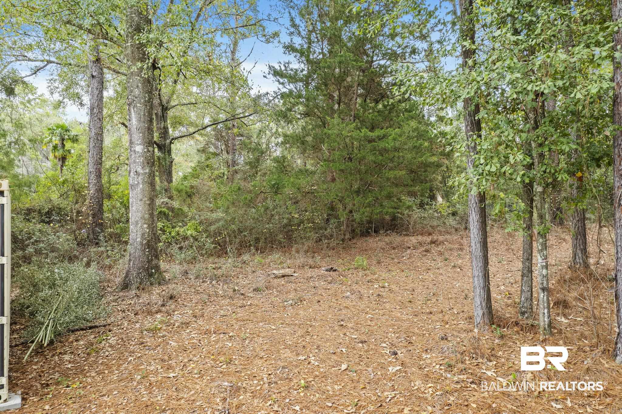 32072 Buzbee Road Daphne, AL 36527 - Photo 39 of 41 View of landscape
