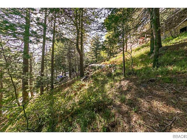 26652 Valley View Lake Rimforest, CA 92378 - Photo 15 of 17 a view of forest