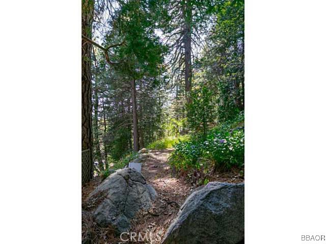 26652 Valley View Lake Rimforest, CA 92378 - Photo 17 of 17 a view of a yard