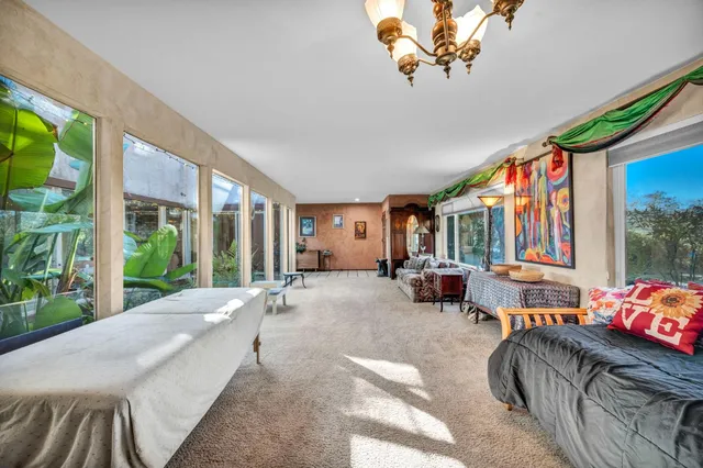 a view of a garden with plants and large trees