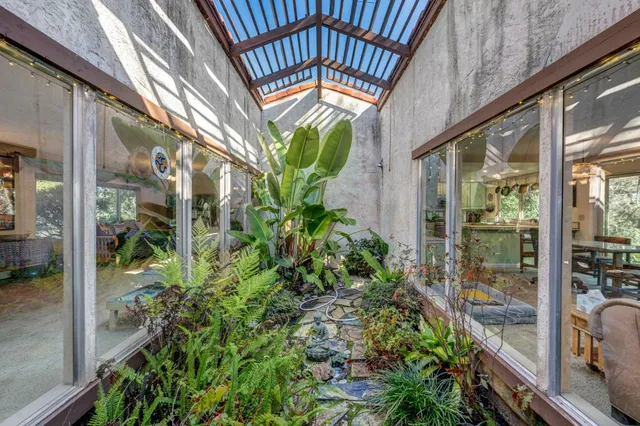 a view of a yard with a tree