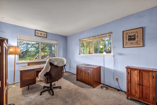 a potted plant sitting in front of a house