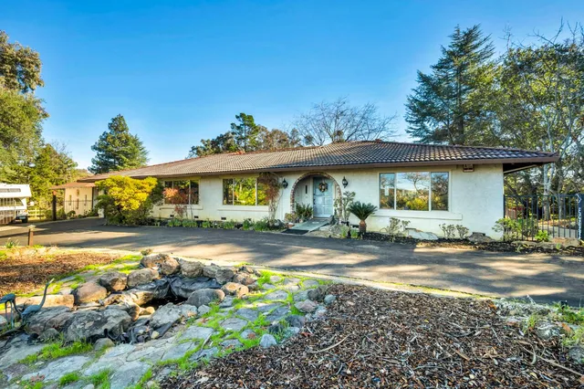 a view of a yard with plants and trees