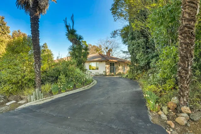 a view of a park with tree s