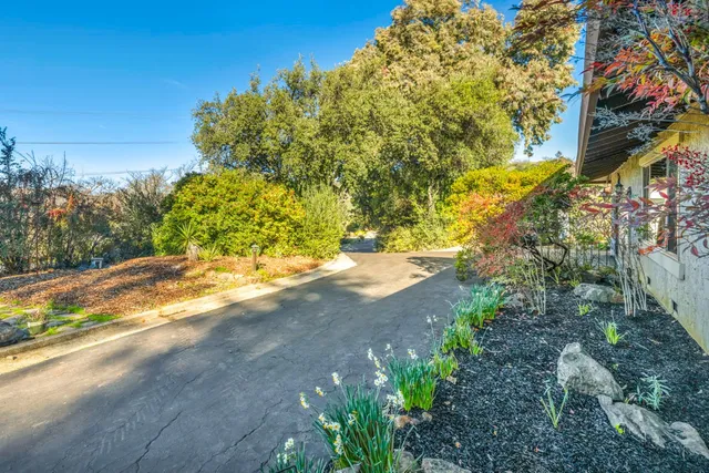 a view of back yard of the house