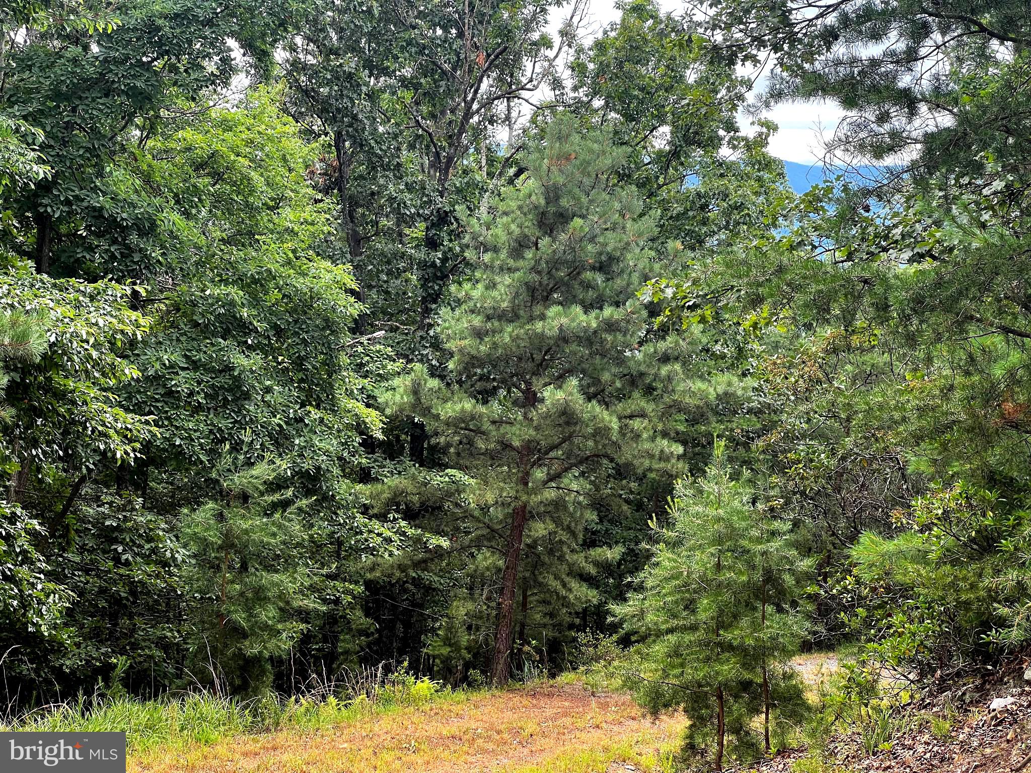 17 Reymann Drive Yellow Spring, WV 26865 - Photo 25 of 52 View of distant mountain potential