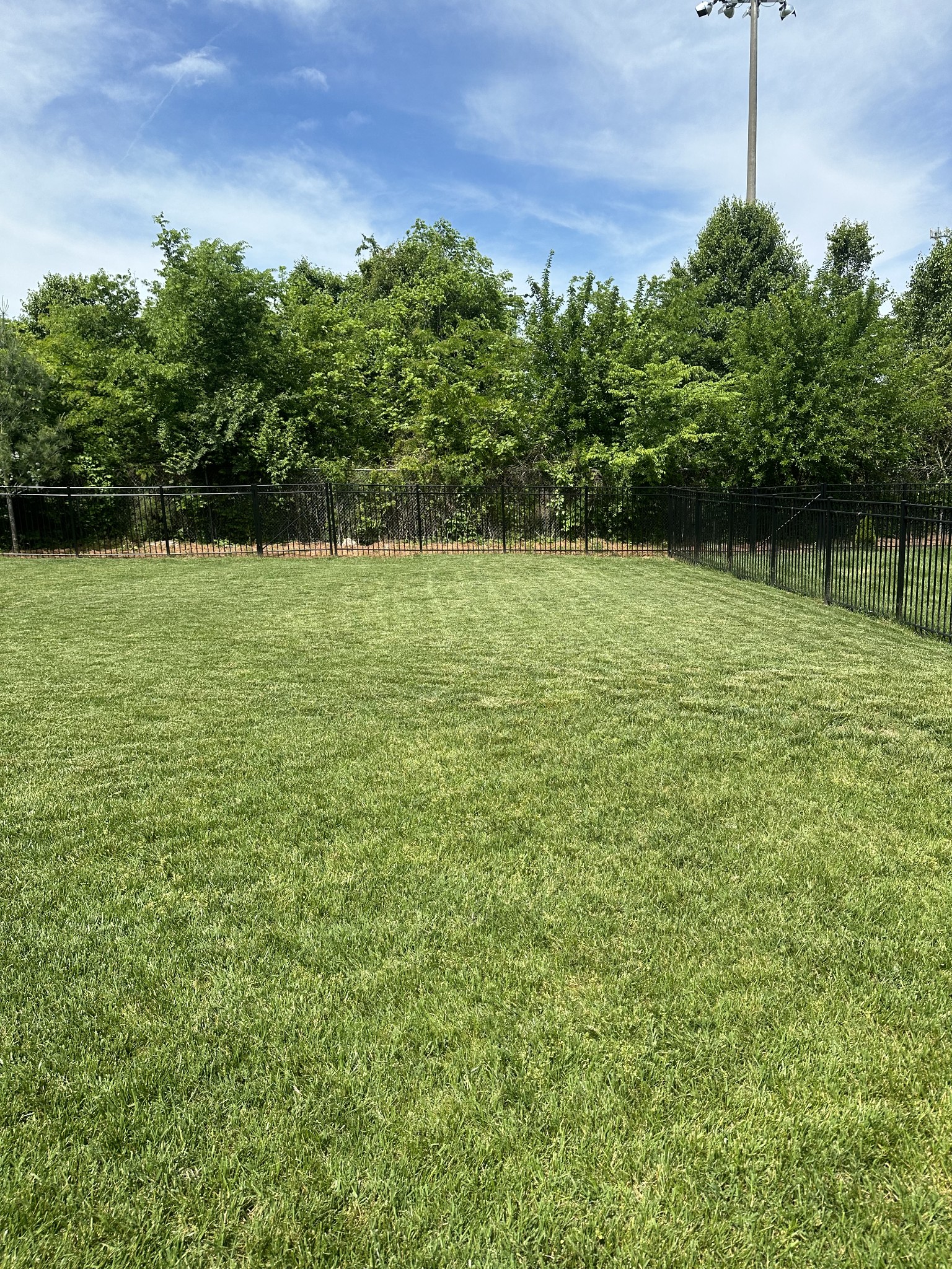 716 Plowson Road Mount Juliet, TN 37122 - Photo 39 of 40 Gallery Image 39