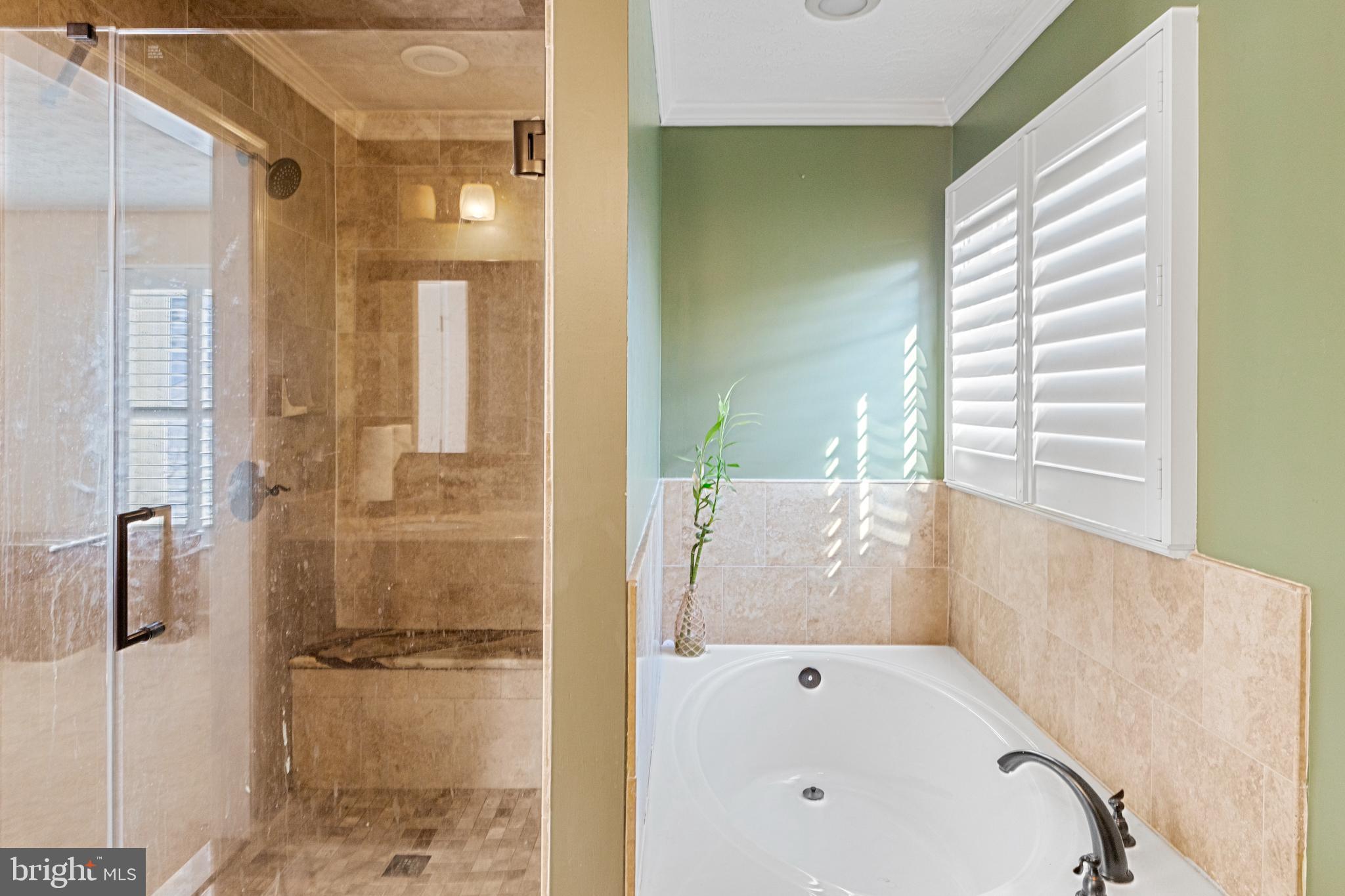 333 Spry Island Road Joppa, MD 21085 - Photo 16 of 22 Soaking tub in master bath