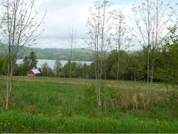 699 Lake Shore Road Greensboro, VT 05841 - Photo 2 of 3