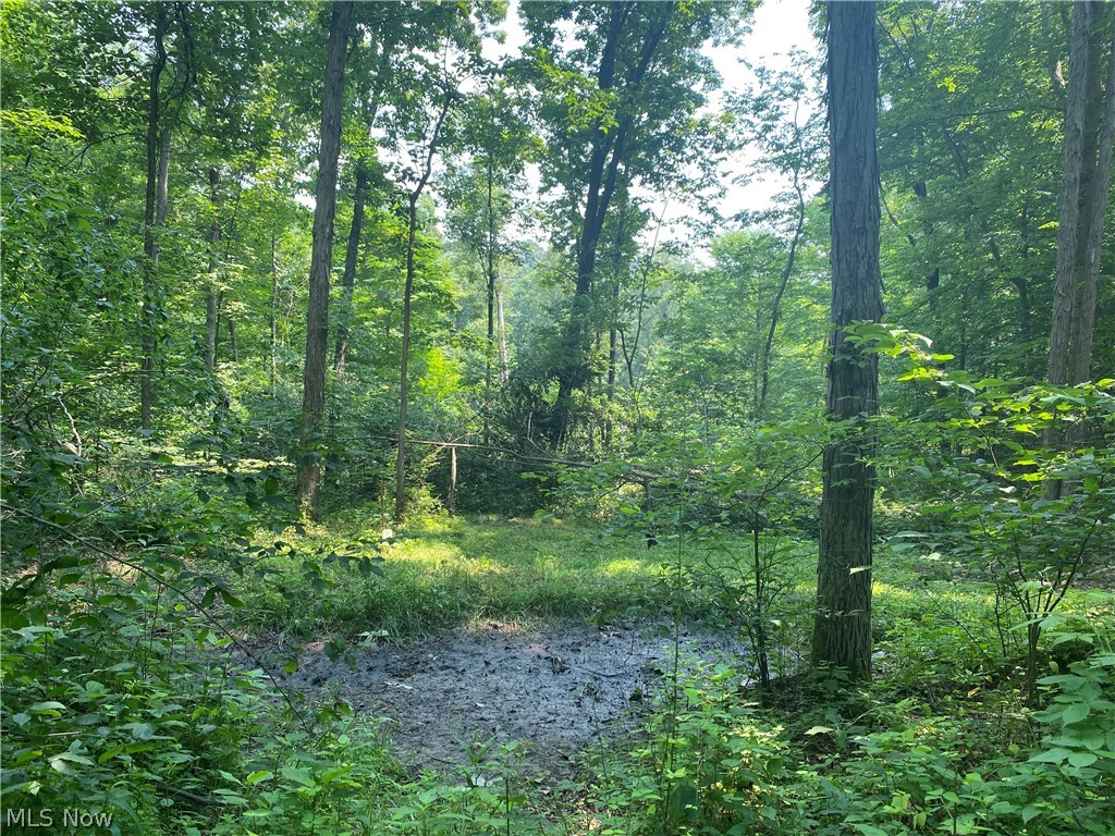 9401 Bell Run Road Adamsville, OH 43802 - Photo 27 of 27 Gallery Image 27