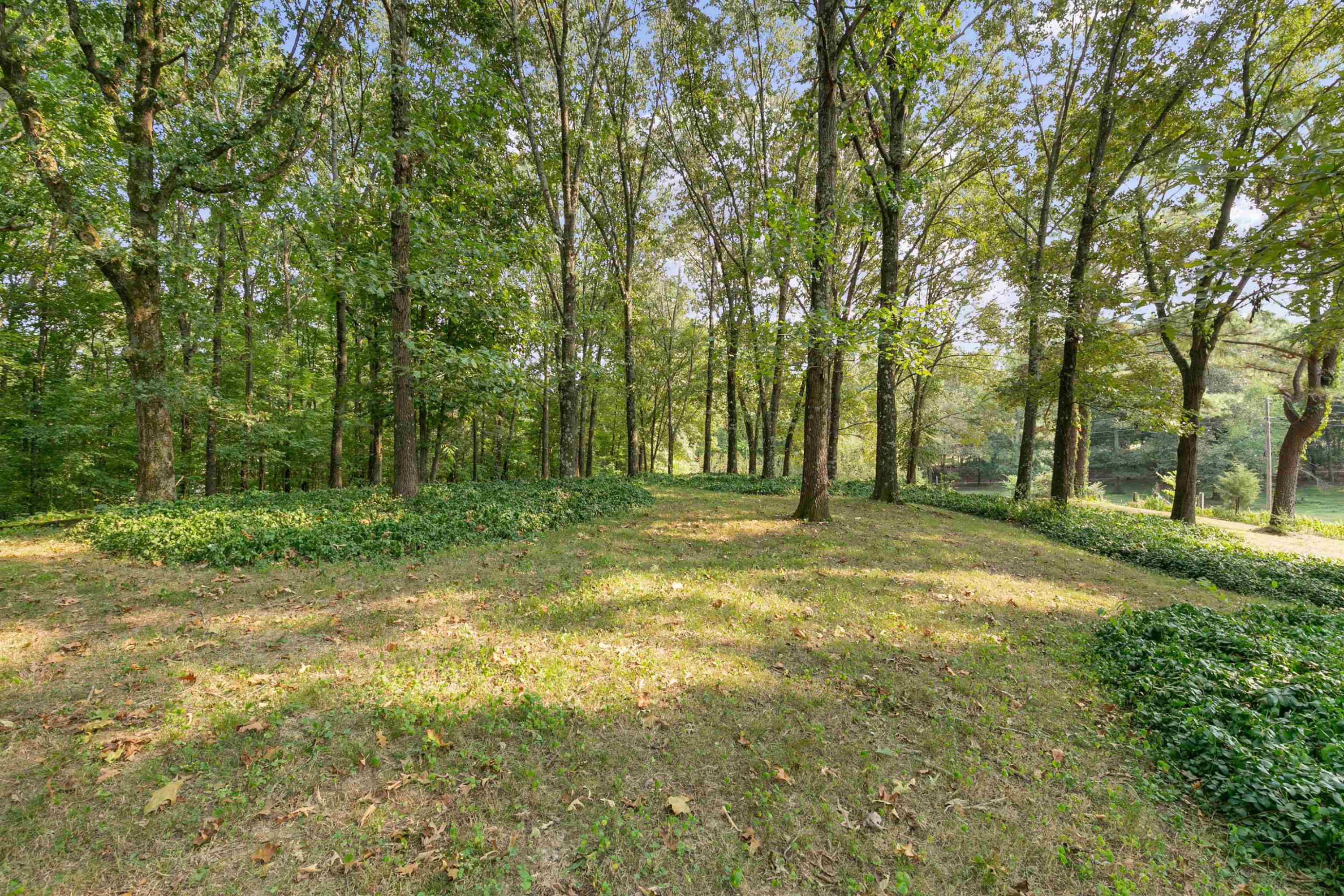 169 Braxton Craig Road Gadsden, TN 38337 - Photo 22 of 24 Photo 22
