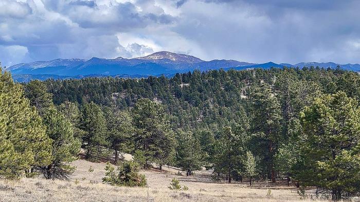 475 Sioux Road Florissant, CO 80816 - Photo 13 of 46