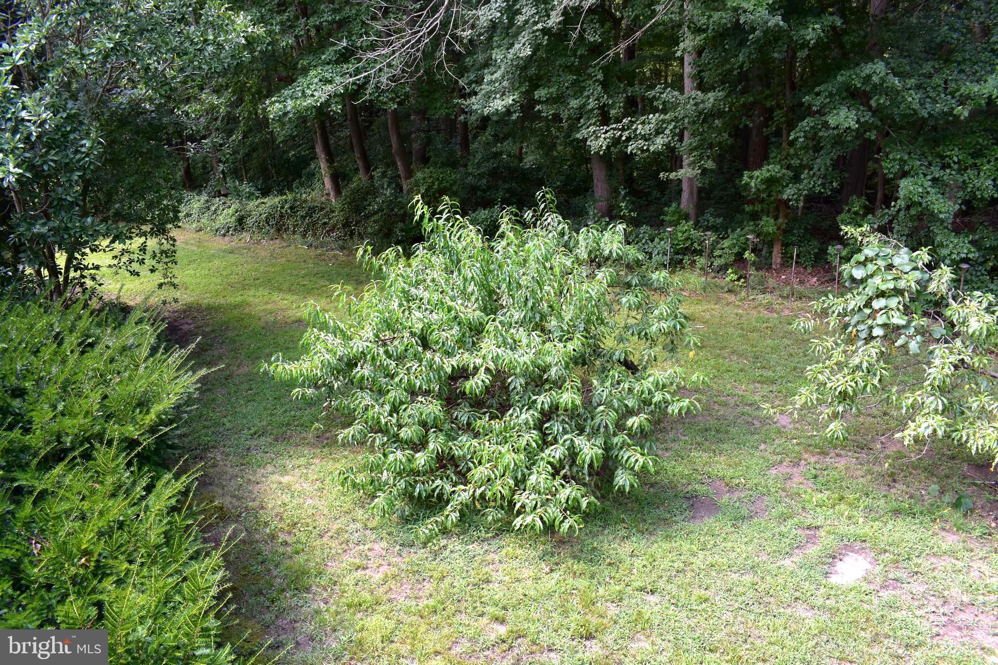 210 Highway 40 Carneys Point, NJ 08069 - Photo 4 of 24
