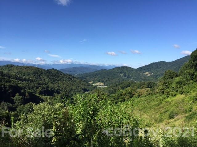 1781 Wilson Cove Road, Unit 10ABC Canton, NC 28716 - Photo 1 of 5 a view of a city with lush green forest