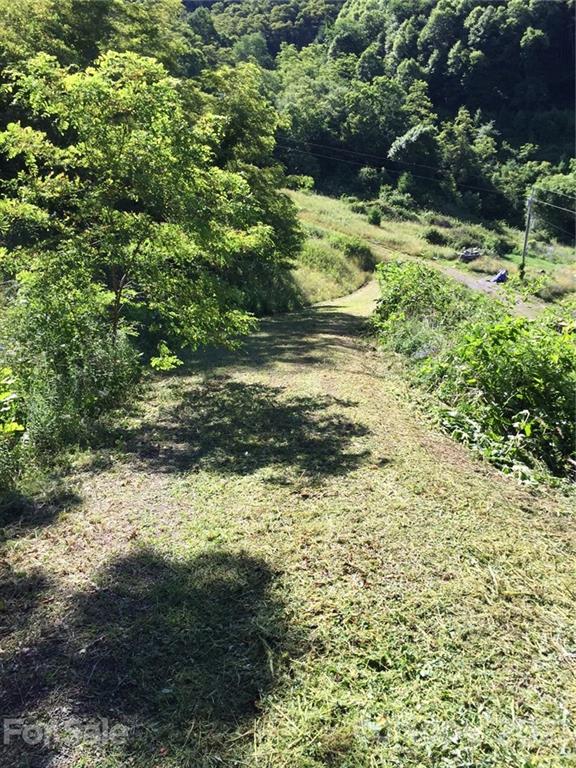 1781 Wilson Cove Road, Unit 10ABC Canton, NC 28716 - Photo 5 of 5 a view of a pathway both side of yard