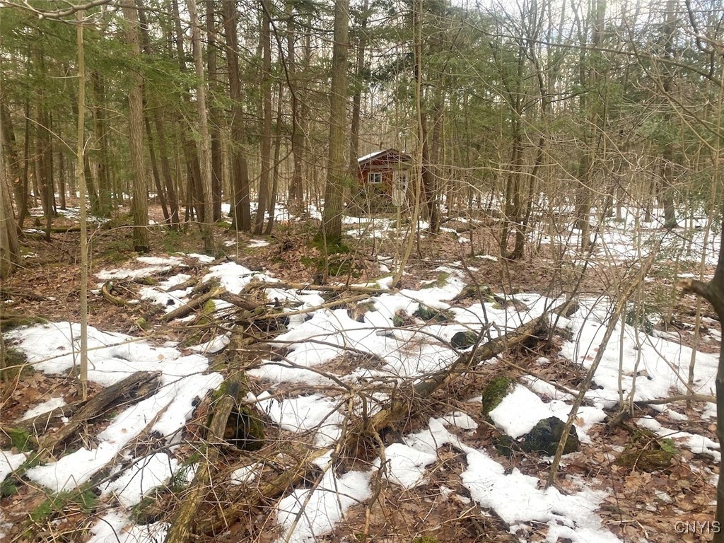 10353 Rogers Road Fillmore, NY 14735 - Photo 47 of 49