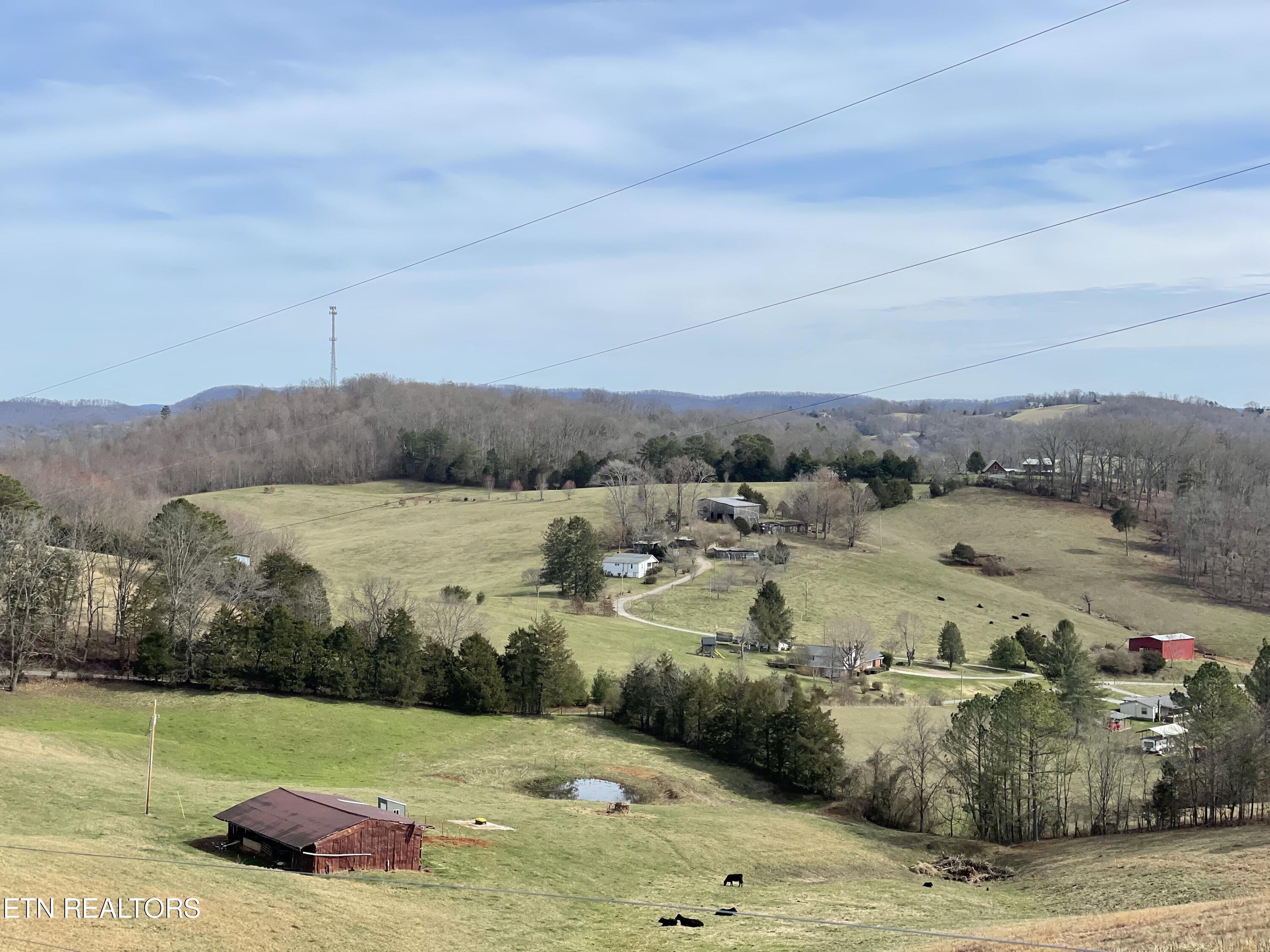 300 Cole Road New Tazewell, TN 37825 - Photo 41 of 51 IMG_2796