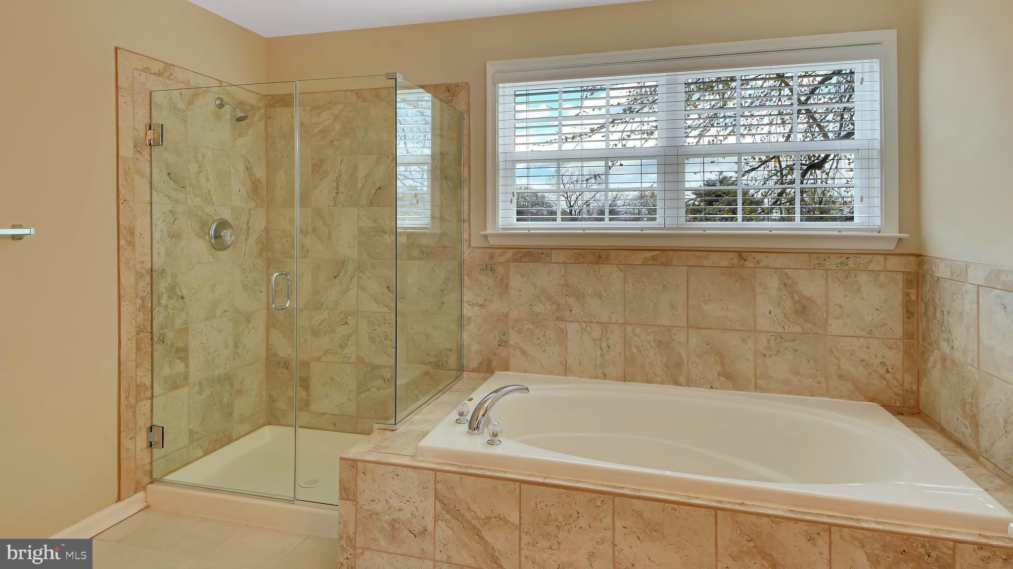177 Dale Road Pasadena, MD 21122 - Photo 21 of 46 Owners seamless shower