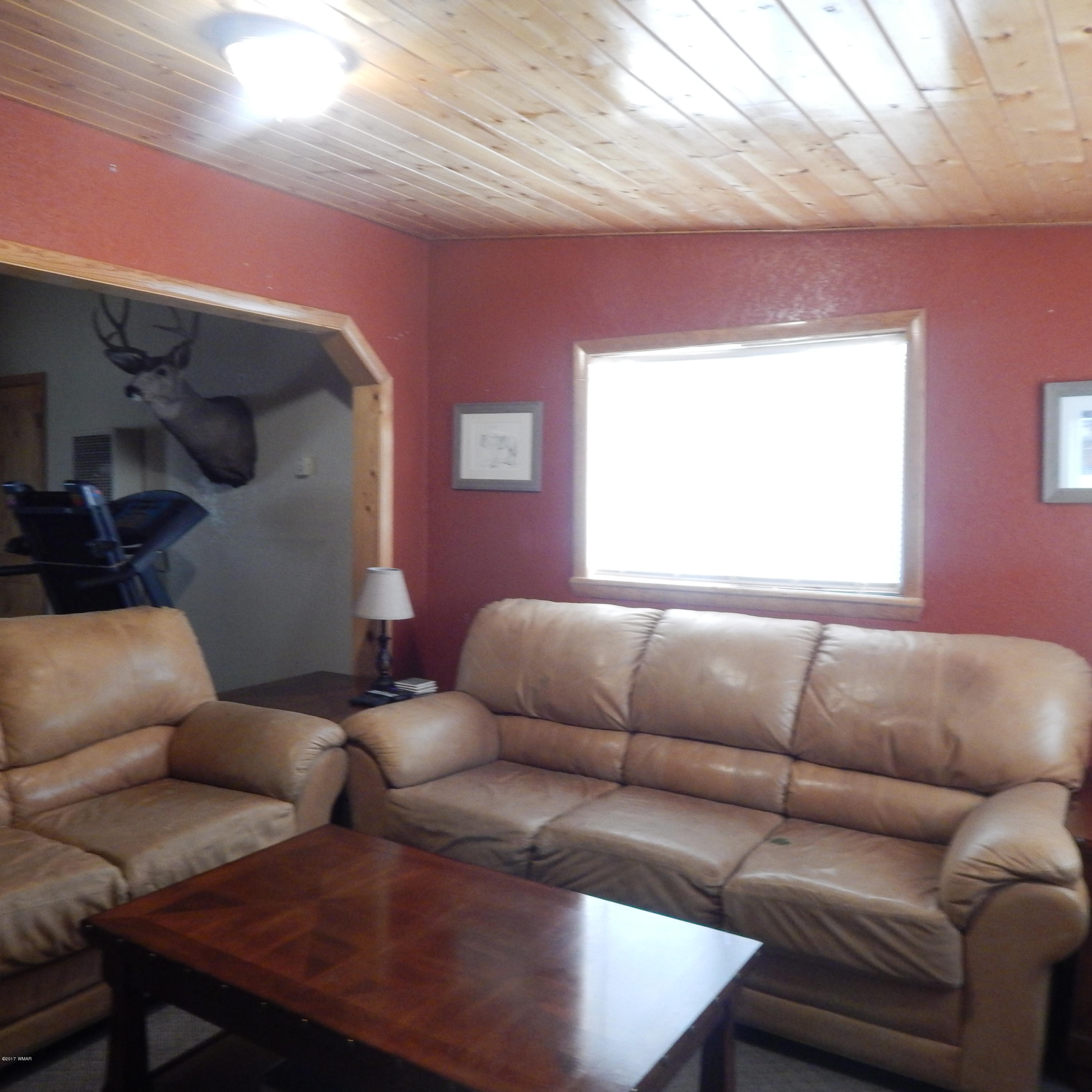 1473 Slash 4th Street Springerville, AZ 85938 - Photo 4 of 17