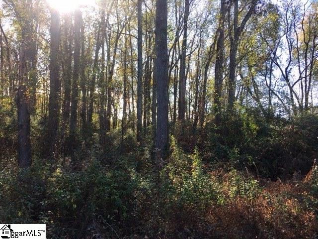 0 Kist Road, Unit LOT 2 Greer, SC 29651 - Photo 3 of 11