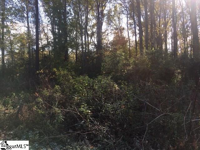 0 Kist Road, Unit LOT 2 Greer, SC 29651 - Photo 5 of 11