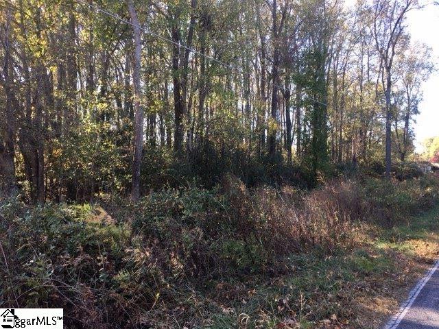 0 Kist Road, Unit LOT 2 Greer, SC 29651 - Photo 8 of 11