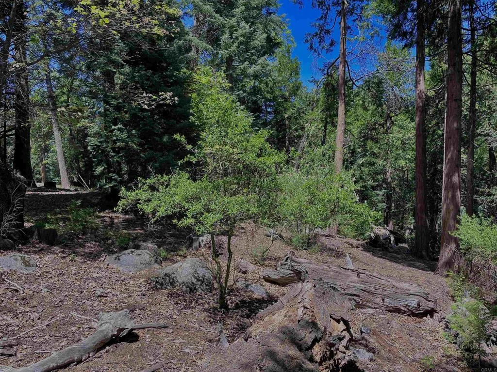 0 Crestline Road Valley Center, CA 92082 - Photo 14 of 18 Gallery Image 14