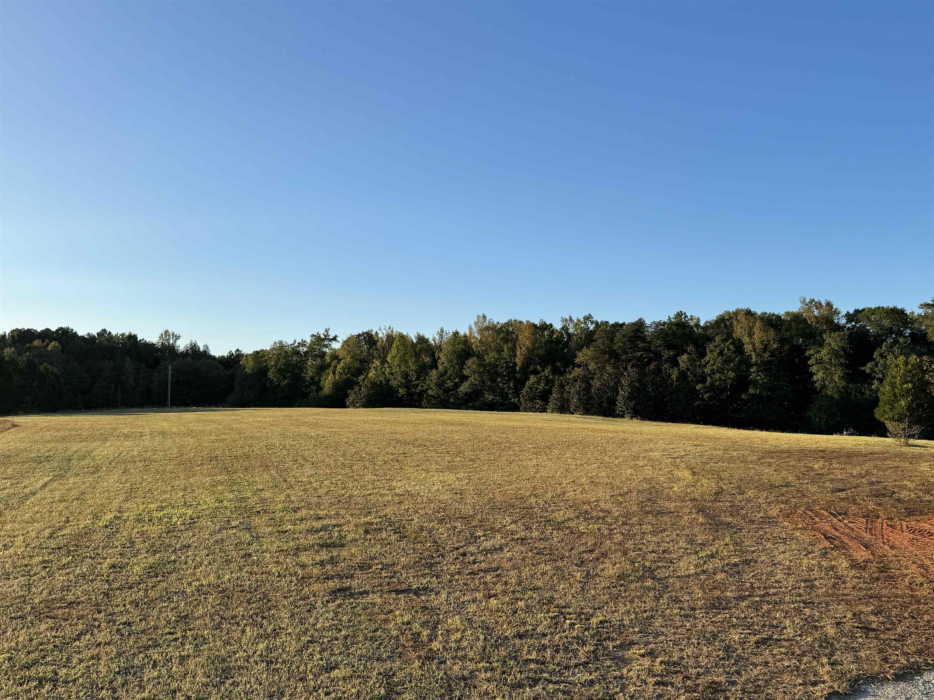 640 Bascule Ridge Lane Campobello, SC 29322 - Photo 3 of 8 Gallery Image 3