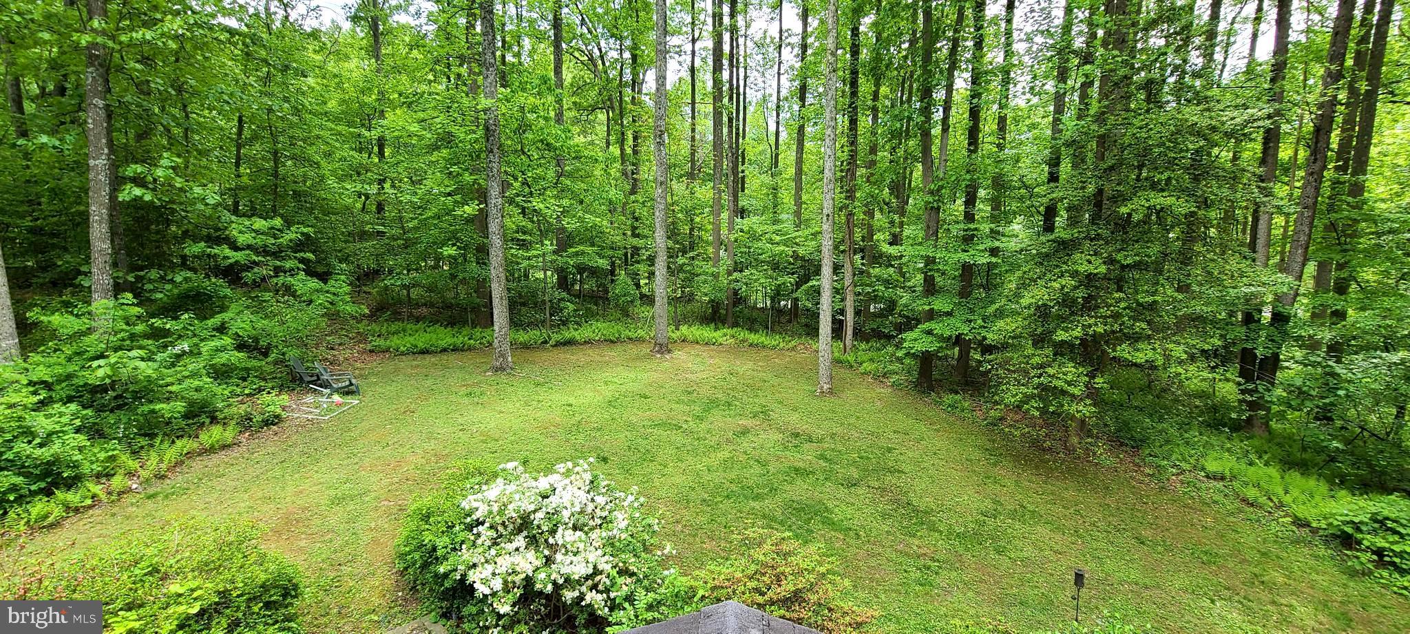 11503 Drop Forge Lane Reston, VA 20191 - Photo 2 of 59 VERY PRIVATE BACK YARD