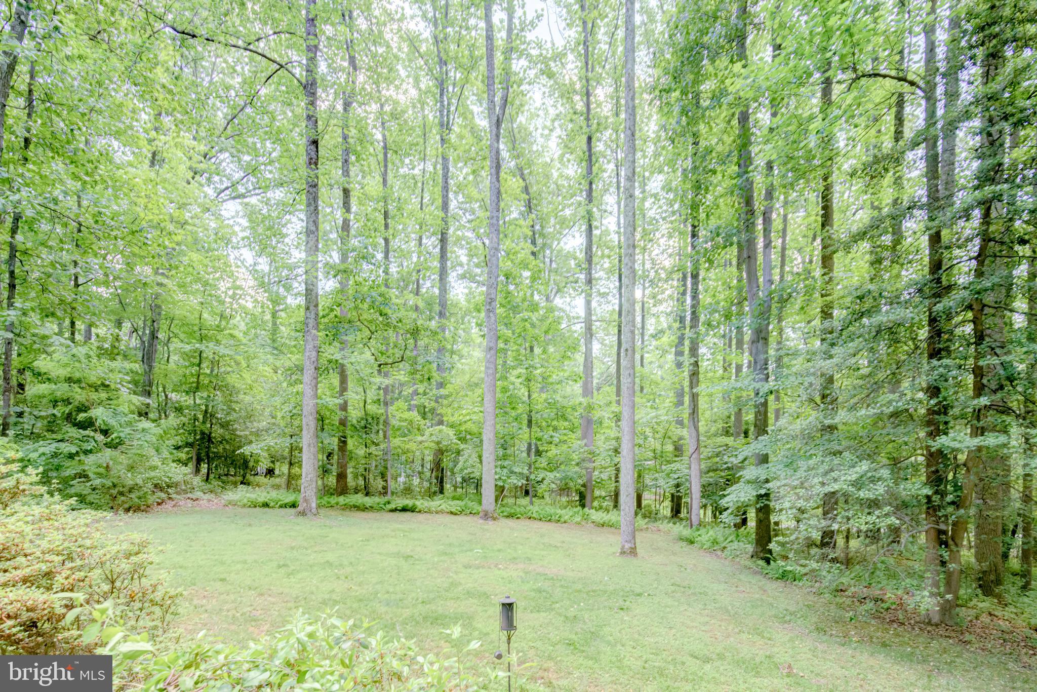 11503 Drop Forge Lane Reston, VA 20191 - Photo 56 of 59