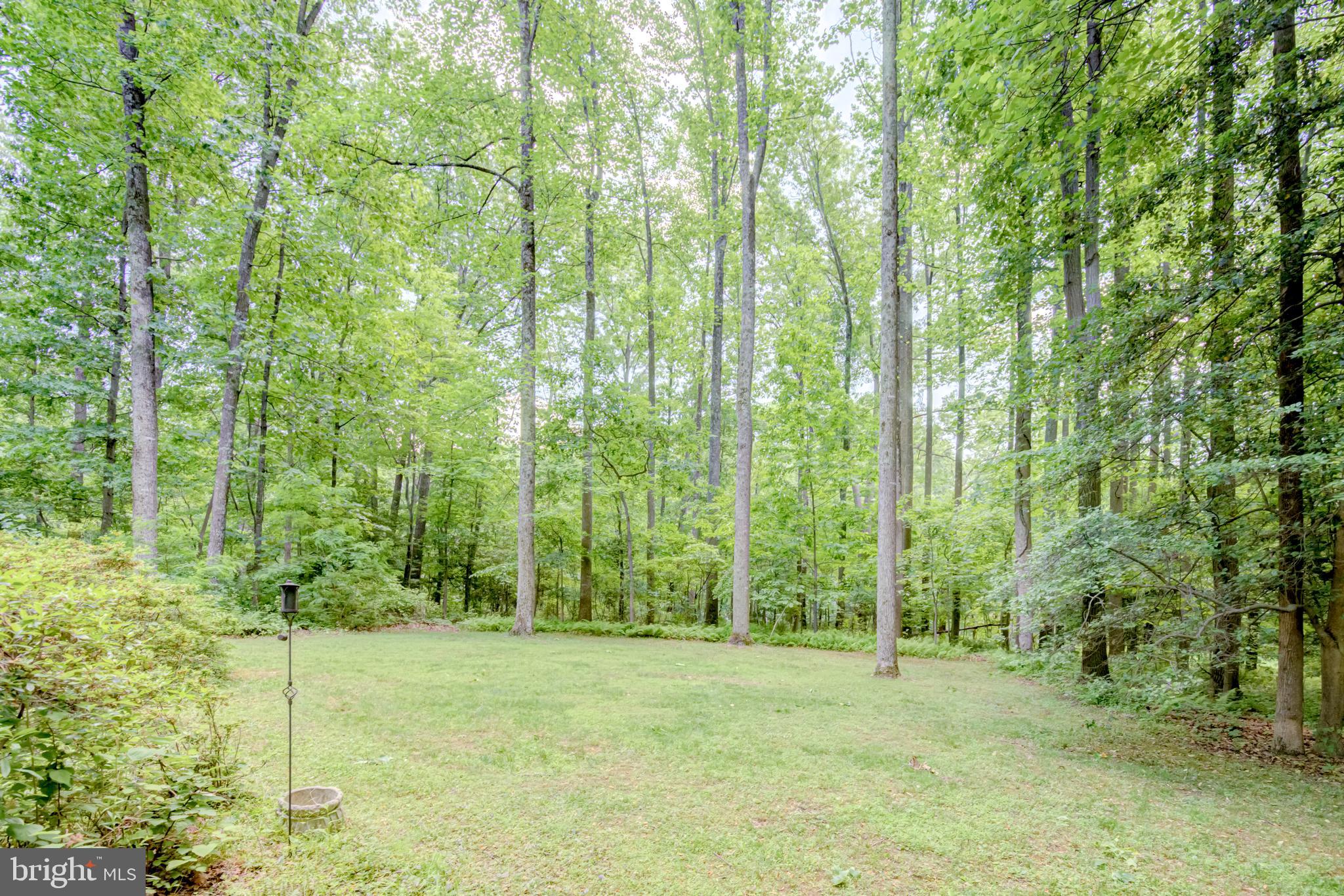 11503 Drop Forge Lane Reston, VA 20191 - Photo 57 of 59