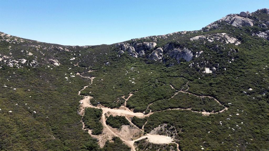 2413-2425 Oak Valley Trail Jamul, CA 91935 - Photo 18 of 40 a view of a tree