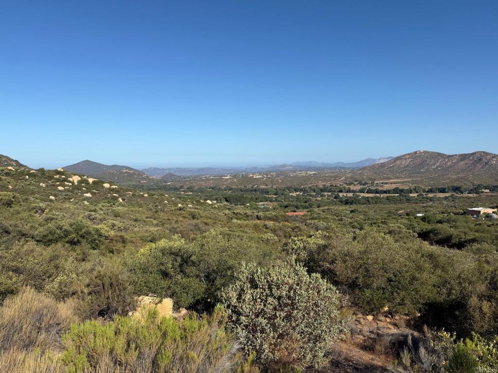 2413-2425 Oak Valley Trail Jamul, CA 91935 - Photo 29 of 40 a view of a city with lush green forest