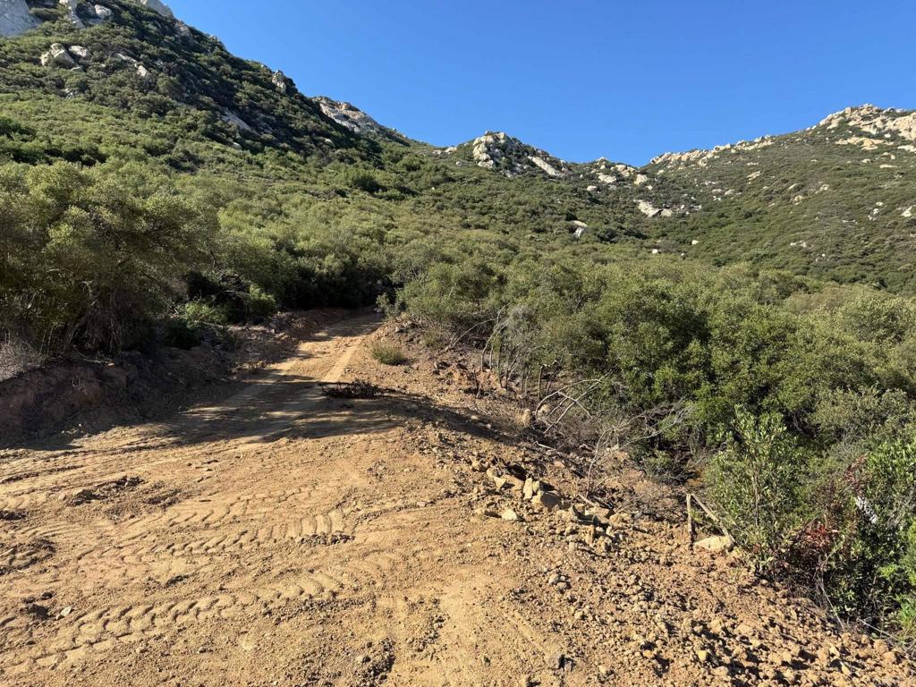 2413-2425 Oak Valley Trail Jamul, CA 91935 - Photo 34 of 40 a view of a yard with a mountain