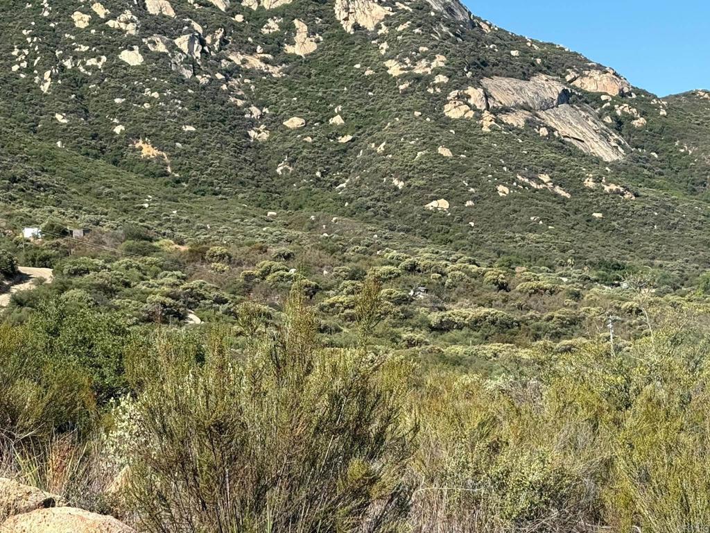 2413-2425 Oak Valley Trail Jamul, CA 91935 - Photo 37 of 40 a view of a tree