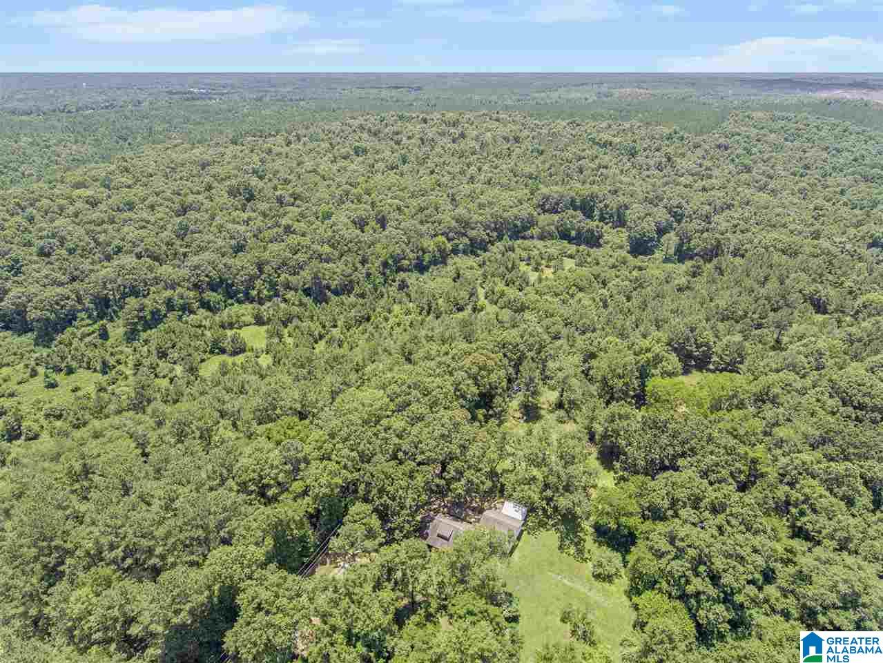 550 Gardner Street Montevallo, AL 35115 - Photo 40 of 40