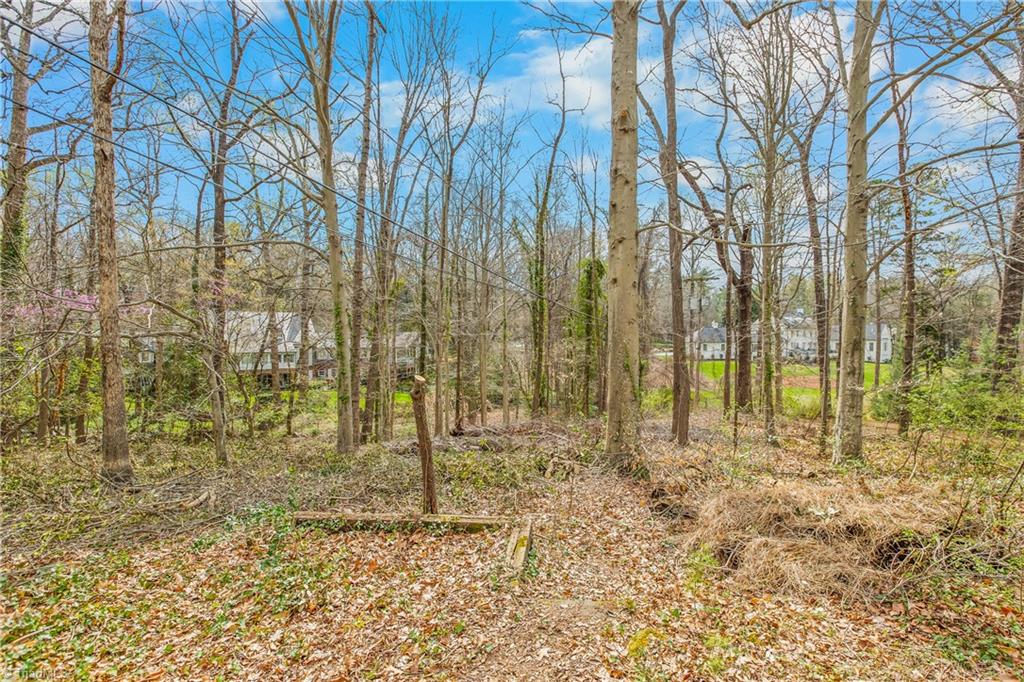 1007 Wickliff Avenue High Point, NC 27262 - Photo 43 of 47