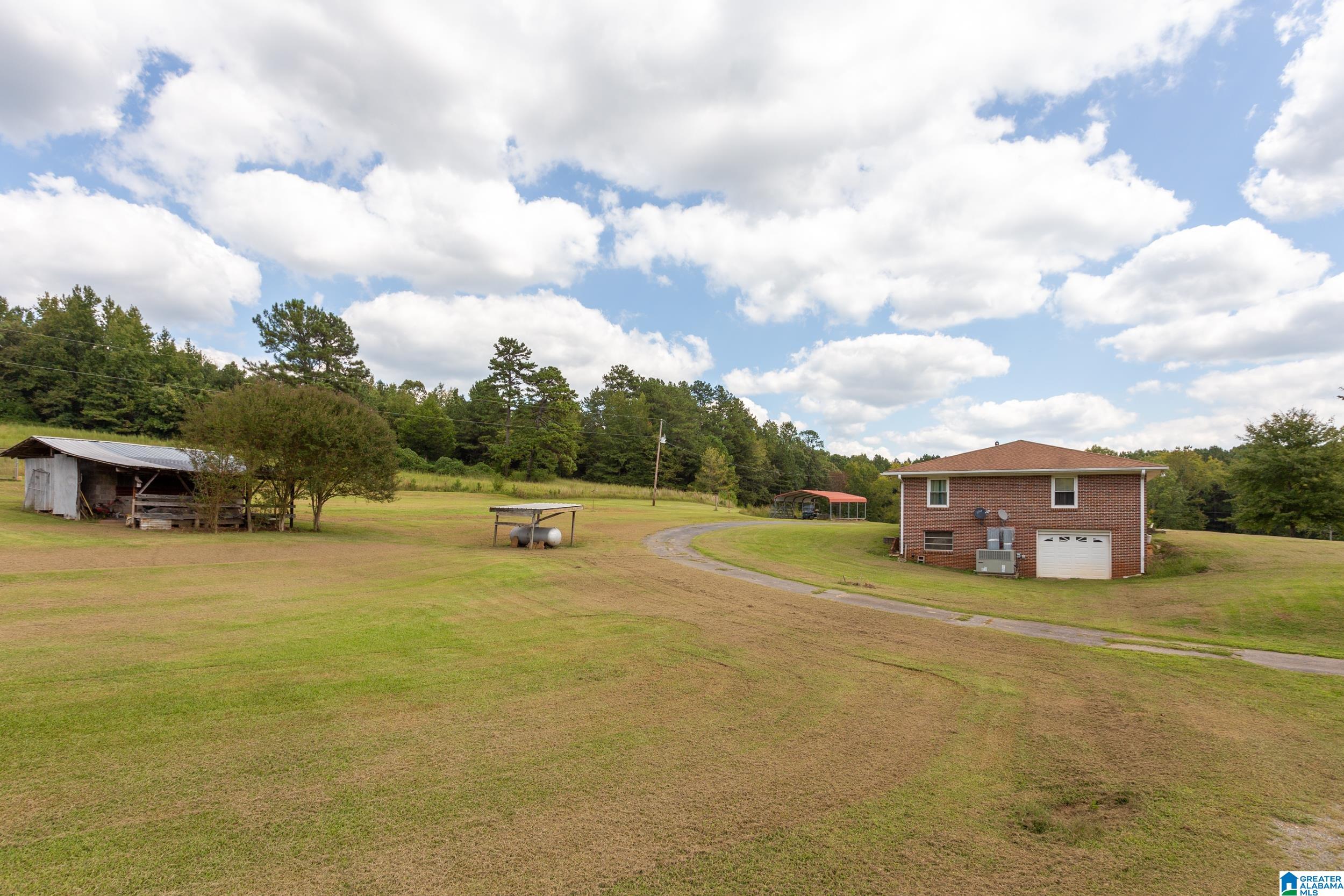 551 Burtram Road Springville, AL 35146 - Photo 4 of 22