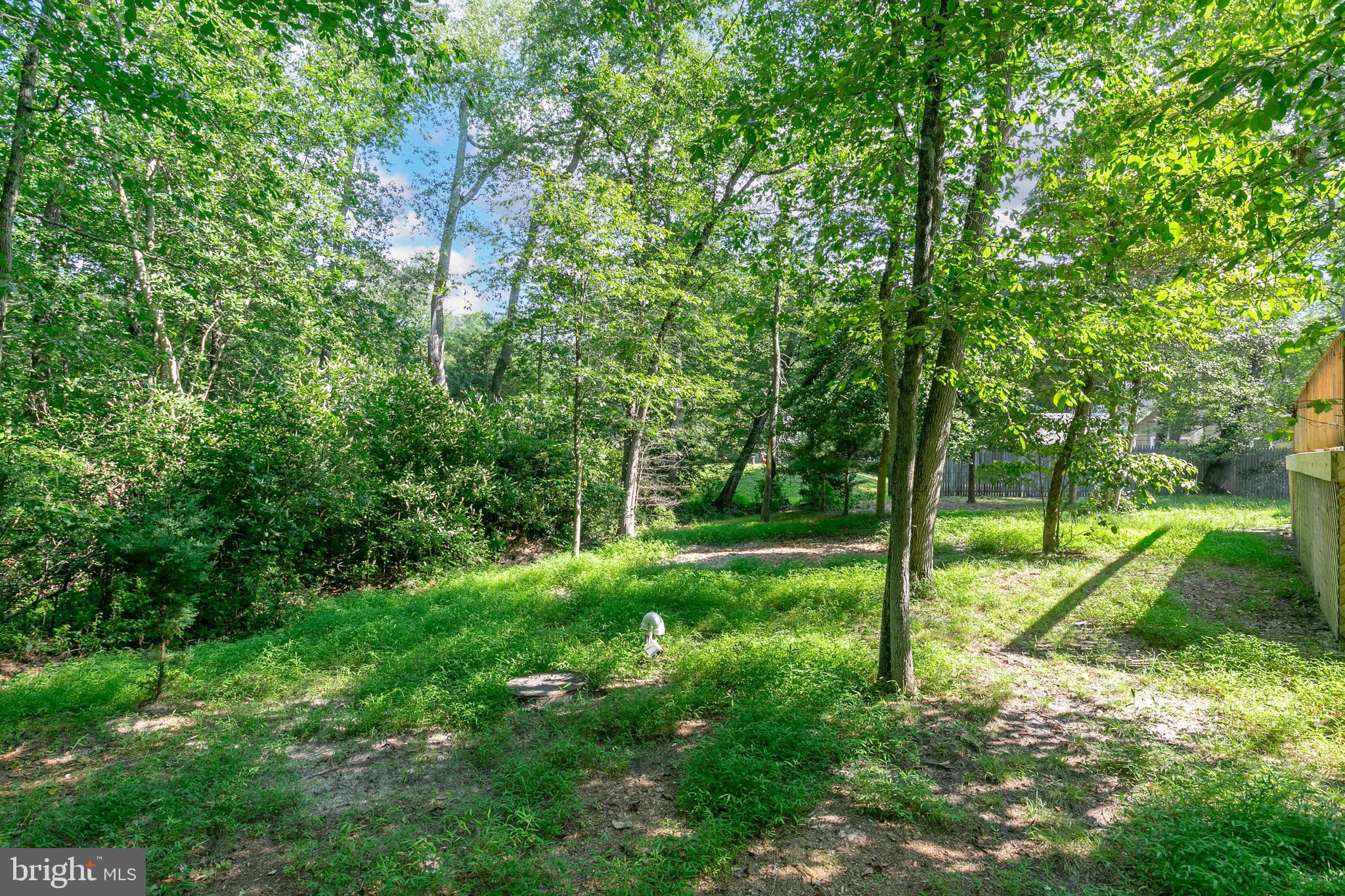 161 Egret Road Marlton, NJ 08053 - Photo 36 of 44 Gallery Image 36