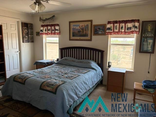 220 Comanchero Road Southwest Deming, NM 88030 - Photo 6 of 20 Gallery Image 6