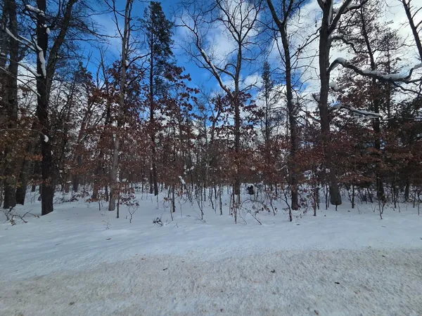 $11,500 | V/l South Astor Road, Baldwin, MI 49304