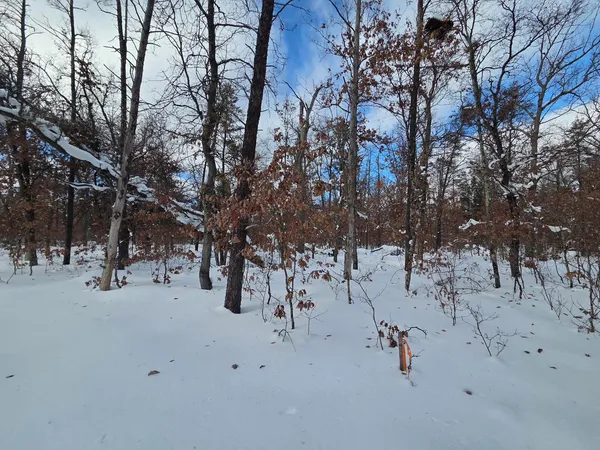 $11,500 | V/l South Astor Road, Baldwin, MI 49304