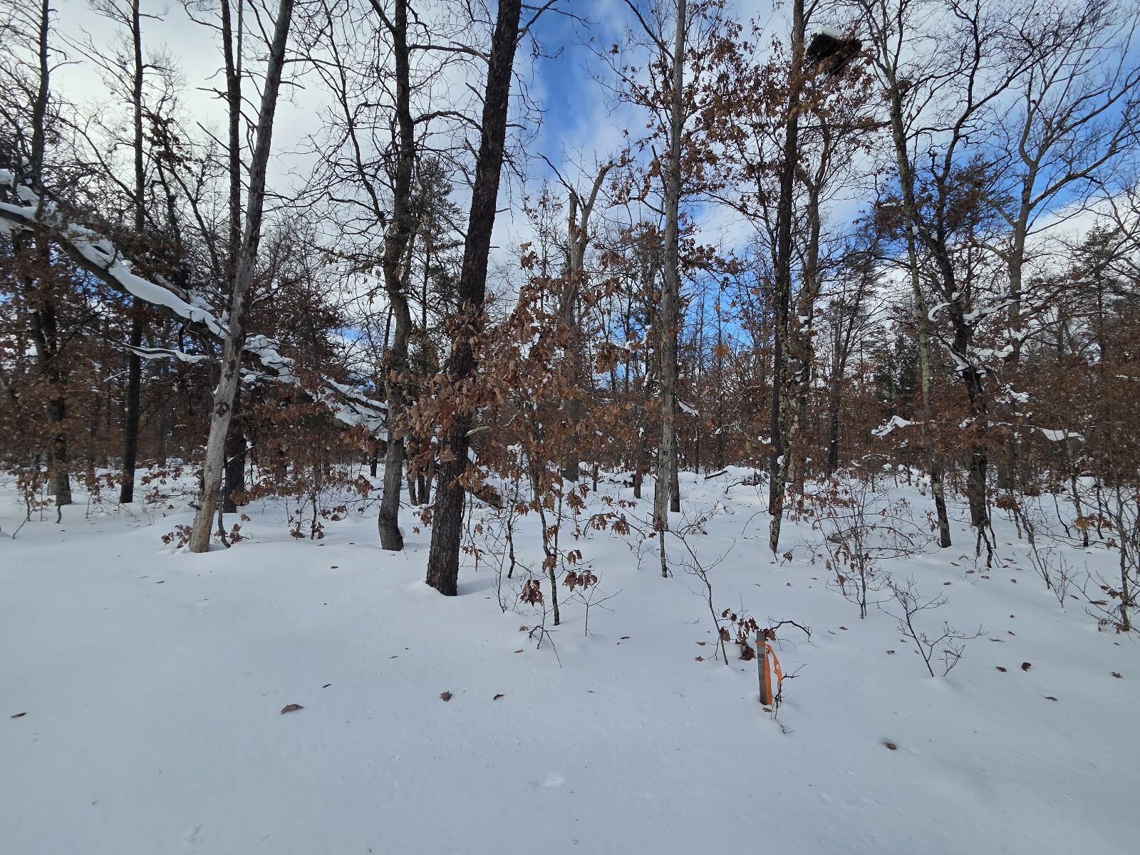 V/l South Astor Road Baldwin, MI 49304 - Photo 2 of 4 20260206_145340